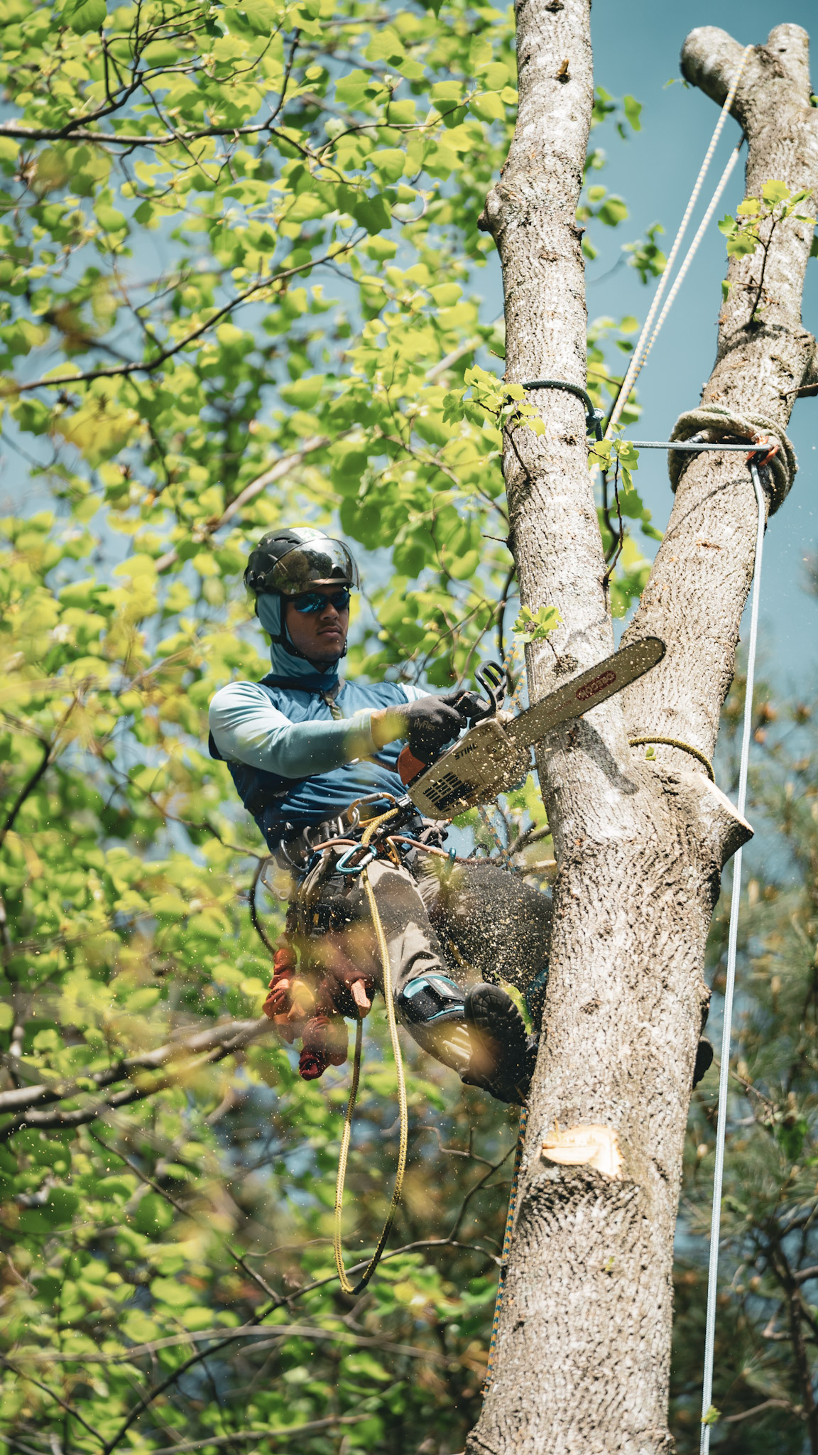 Work at height with the right equipment — view 1